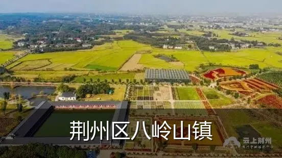 荆州区八岭山镇