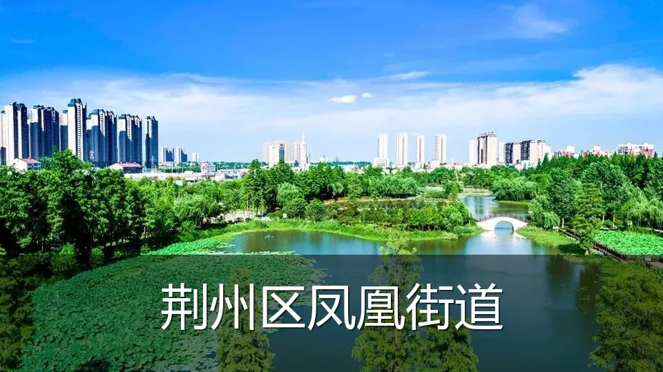 荆州区凤凰街道