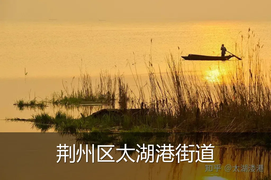 荆州区太湖港街道