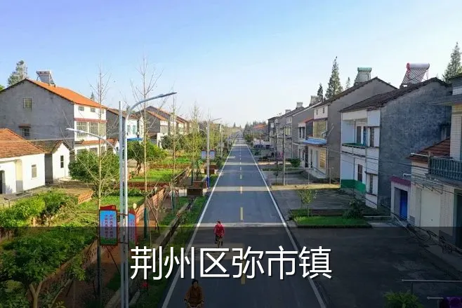 荆州区弥市镇