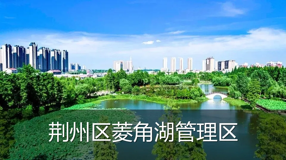 荆州区菱角湖管理区
