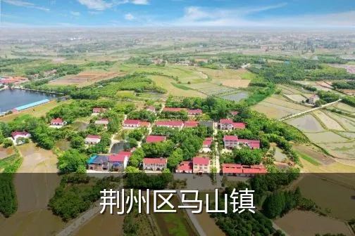 荆州区马山镇